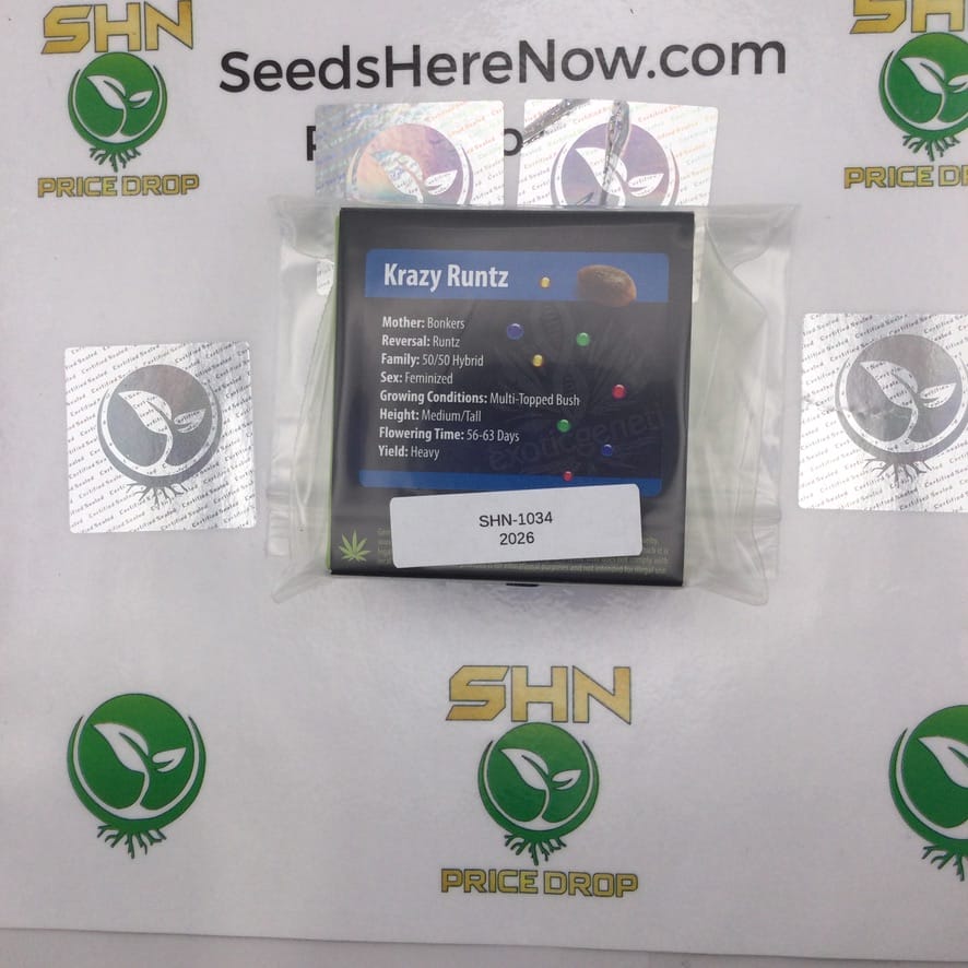 Krazy Runtz (Regular & Feminized) – Exotic Genetix | Vault Release