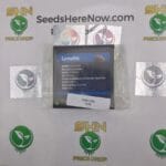 Carmelita (Feminized) – Exotic Genetix | Vault Release