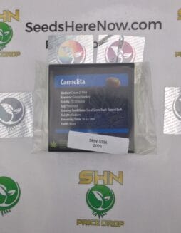 Carmelita (Feminized) – Exotic Genetix | Vault Release