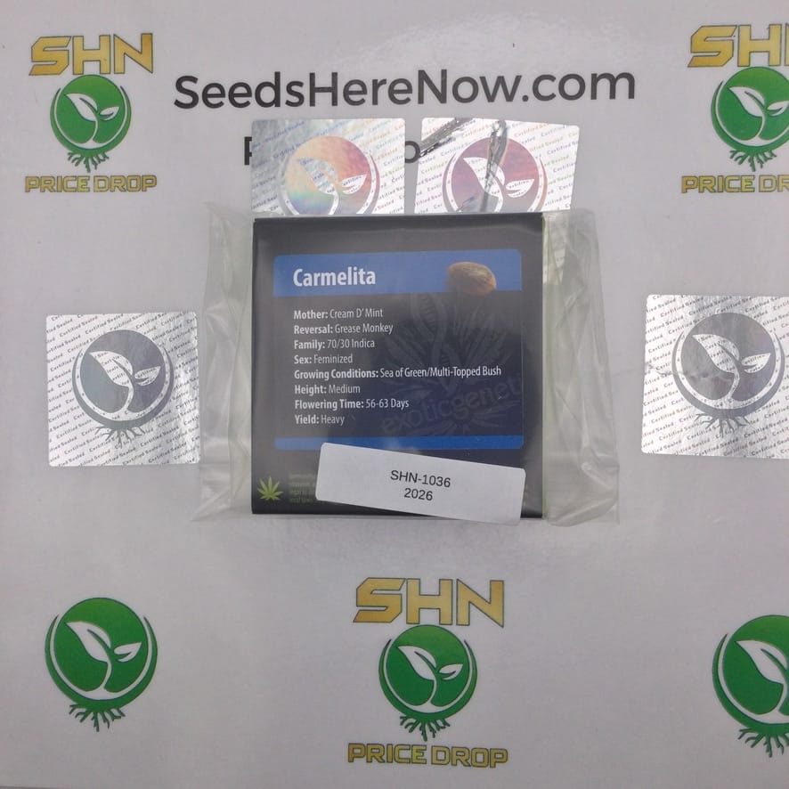 Carmelita (Feminized) – Exotic Genetix | Vault Release