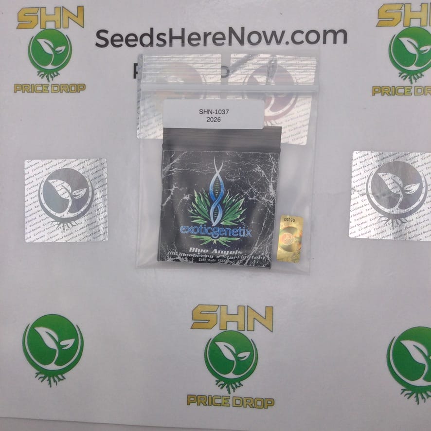 Blue Angels (Regular) – Exotic Genetix | Vault Release