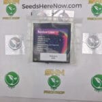 Rainbow Cakes (Regular) – Exotic Genetix | Vault Release