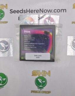 Prism (Regular) – Exotic Genetix | Vault Release