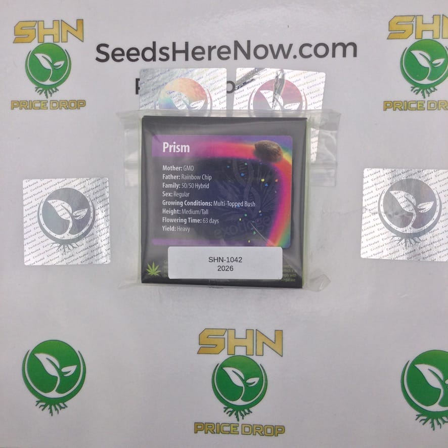 Prism (Regular) – Exotic Genetix | Vault Release