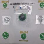 Runtz S1 (Regular & Feminized) – Exotic Genetix | Vault Release