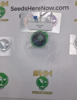 Runtz S1 (Regular & Feminized) – Exotic Genetix | Vault Release