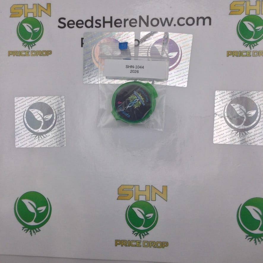 Runtz S1 (Regular & Feminized) – Exotic Genetix | Vault Release