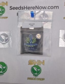 Lime Skunk (Regular) – Exotic Genetix | Vault Release