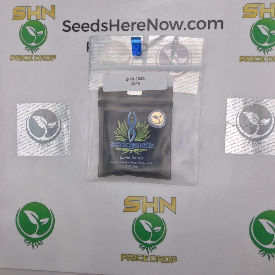 Lime Skunk (Regular) – Exotic Genetix | Vault Release