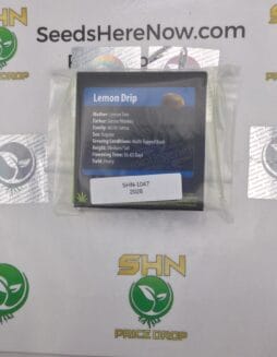 Lemon Drip (Regular & Feminized) – Exotic Genetix | Vault Release