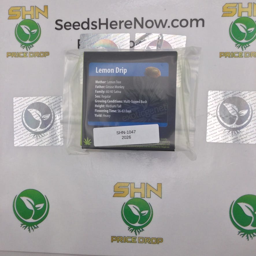 Lemon Drip (Regular & Feminized) – Exotic Genetix | Vault Release