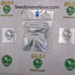 Z-Face (Regular) – Archive Seed Bank | Vault Release