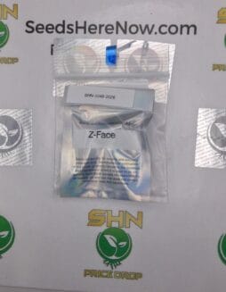 Z(space)Face (Regular) – Archive Seed Bank | Vault Release