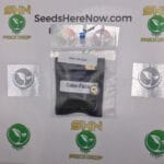 Colonel Crunch (Regular) – Exotic Genetix | Vault Release