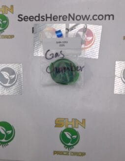 Gas Chamber (Regular) – Exotic Genetix | Vault Release