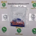 2nd Hand Sandwich (Regular) – Top Dawg Seeds | Vault Release