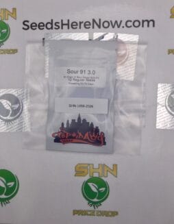 Sour 91 3.0 (Regular) – Top Dawg Seeds | Vault Release