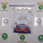 Zsour D BX (Regular) – Top Dawg Seeds | Vault Release