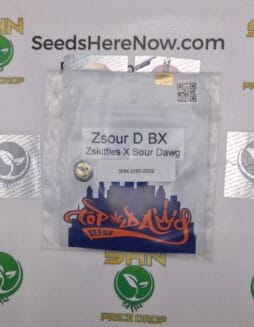 Zsour D BX (Regular) – Top Dawg Seeds | Vault Release