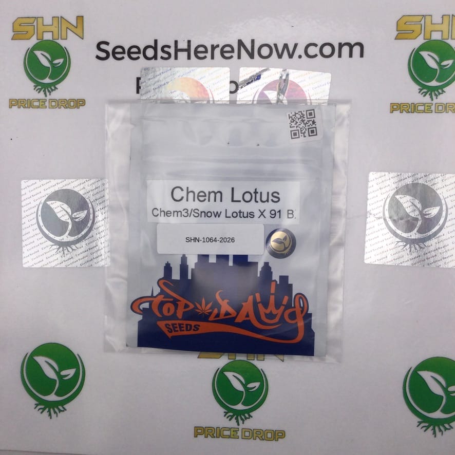 Chem Lotus (Regular) – Top Dawg Seeds | Vault Release