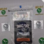 Deep V (Regular) – Thug Pug Genetics | Vault Release