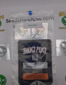 Deep V (Regular) – Thug Pug Genetics | Vault Release