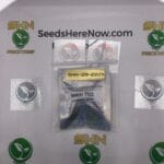 Melon Fizz (Feminized) – Archive Seed Bank | Vault Release