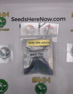 Melon Fizz (Feminized) – Archive Seed Bank | Vault Release