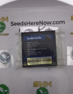 Vanilla Gorilla (Regular) – Exotic Genetix | Vault Release