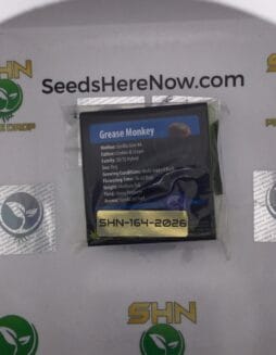 Grease Monkey (Regular) – Exotic Genetix | Vault Release