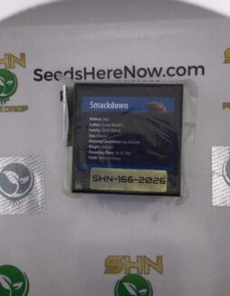 Smackdown (Regular) – Exotic Genetix | Vault Release