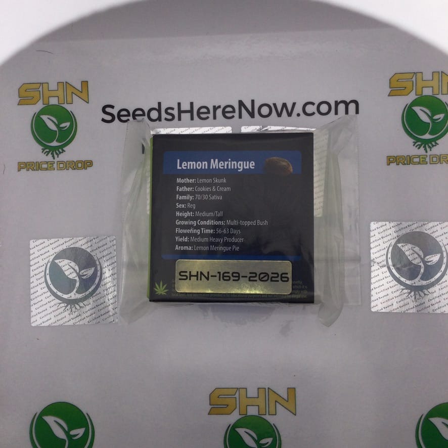 Lemon Meringue (Regular) – Exotic Genetix | Vault Release