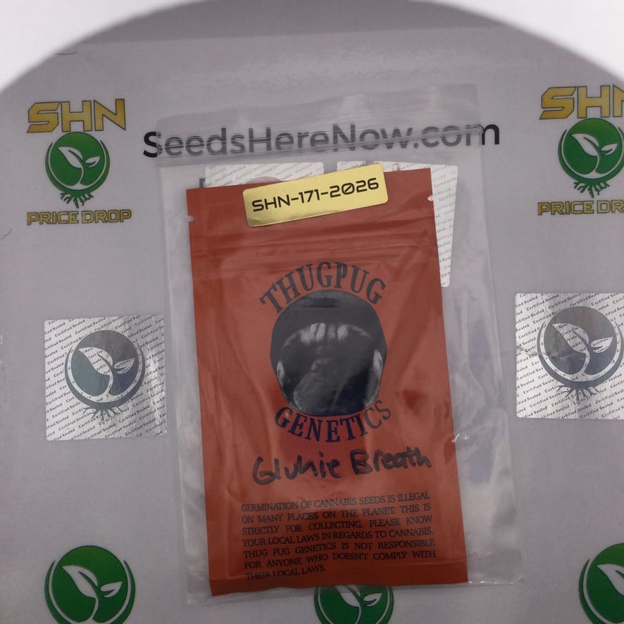 Glukie Breath (Regular) – Thug Pug Genetics | Vault Release