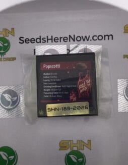 PopScotti (Regular) – Exotic Genetix | Vault Release