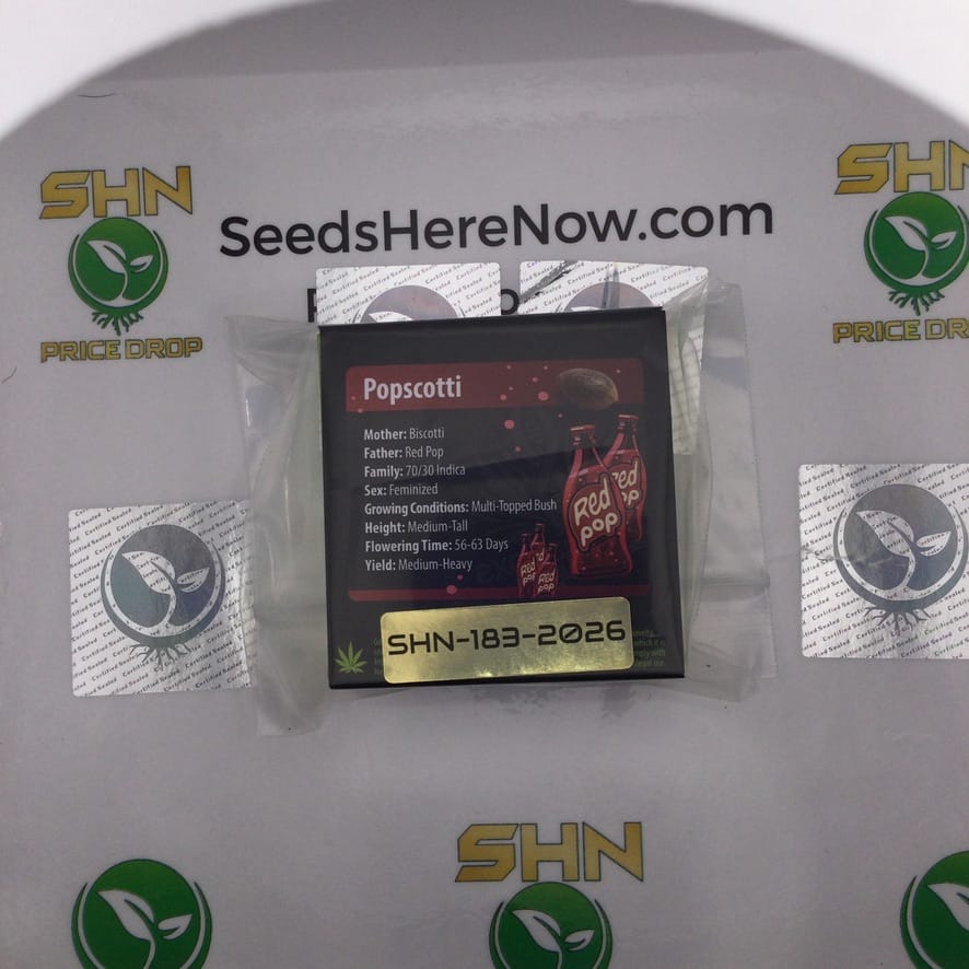 PopScotti (Regular) – Exotic Genetix | Vault Release