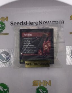 Roll UPS (Regular) – Exotic Genetix | Vault Release