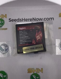 Jigglers (Regular) – Exotic Genetix | Vault Release