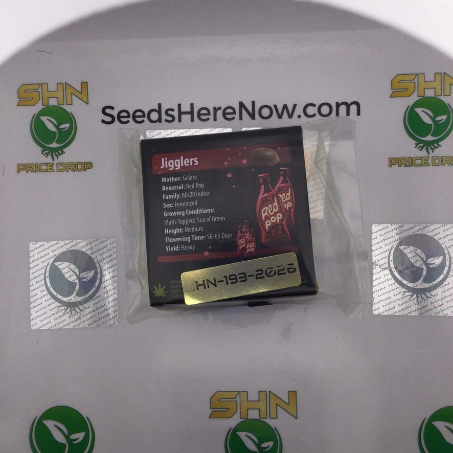 Jigglers (Regular) – Exotic Genetix | Vault Release