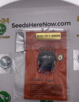 Unicorn Poop (Regular) – Thug Pug Genetics | Vault Release