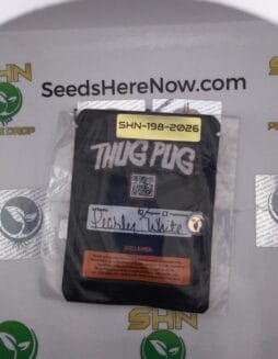 Peasley White (Regular) – Thug Pug Genetics | Vault Release