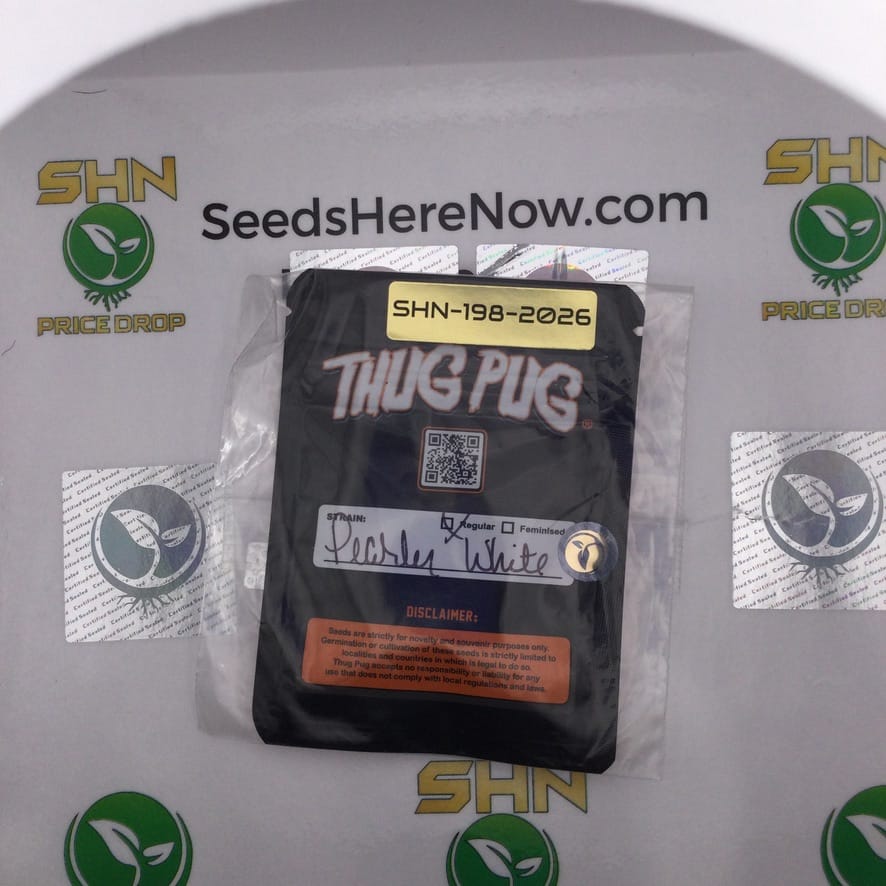 Peasley White (Regular) – Thug Pug Genetics | Vault Release