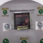 Ghetto Red (Feminized) – Exotic Genetix | Vault Release