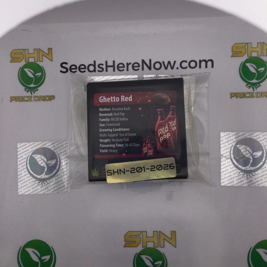 Ghetto Red (Feminized) – Exotic Genetix | Vault Release