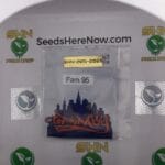 FAM 95 (Regular) – Top Dawg Seeds | Vault Release