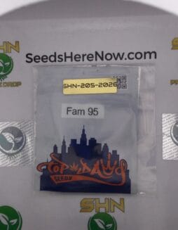 FAM 95 (Regular) – Top Dawg Seeds | Vault Release