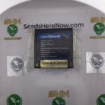 Green Ribbon BX (Regular) – Exotic Genetix | Vault Release