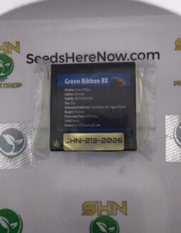 Green Ribbon BX (Regular) – Exotic Genetix | Vault Release