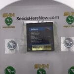 Gutbuster (Regular) – Exotic Genetix | Vault Release