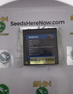 Gutbuster (Regular) – Exotic Genetix | Vault Release