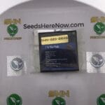 3 In The Pink (Regular) – Exotic Genetix | Vault Release